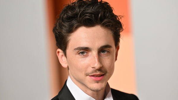 Timothée Chalamet’s Buzz Cut Reveal Is the Most Confusing Thing I’ve Seen All Year